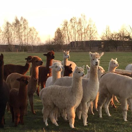 Spreewald-Ferienwohnung Reschke Radensdorf ภายนอก รูปภาพ