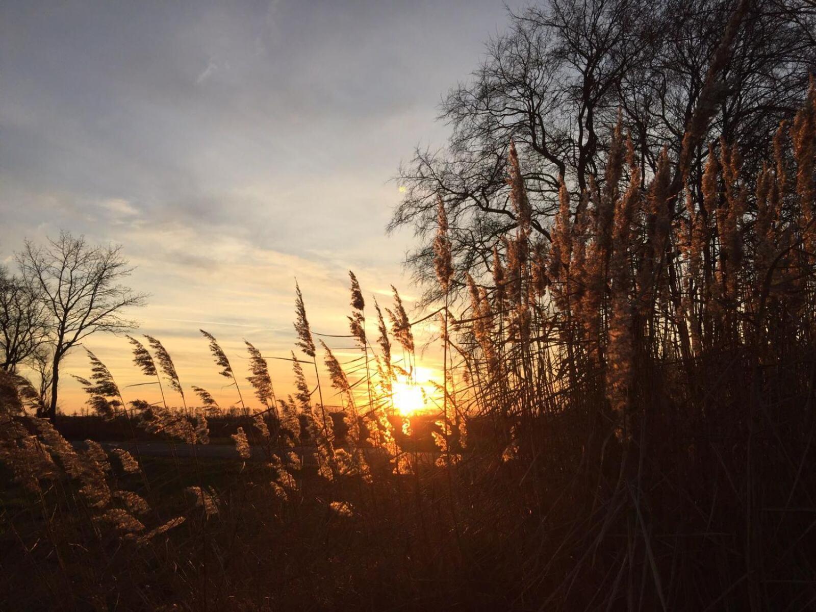 Spreewald-Ferienwohnung Reschke Radensdorf ภายนอก รูปภาพ
