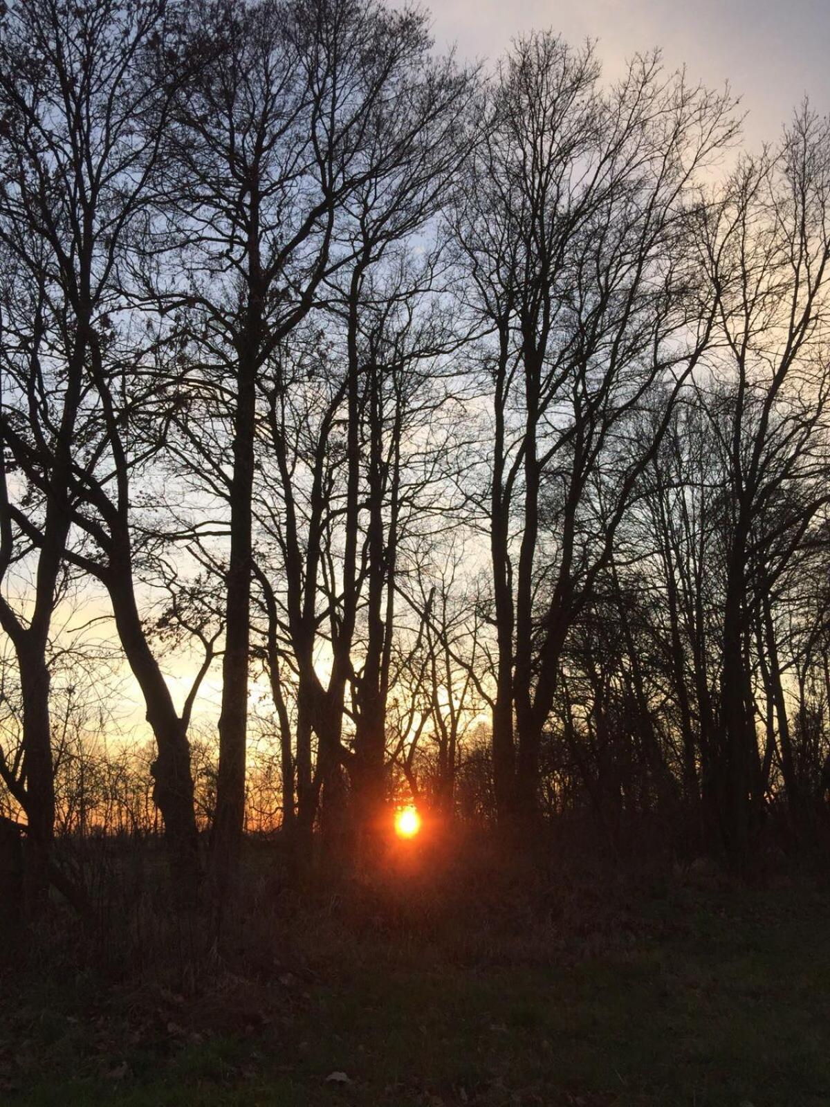 Spreewald-Ferienwohnung Reschke Radensdorf ภายนอก รูปภาพ
